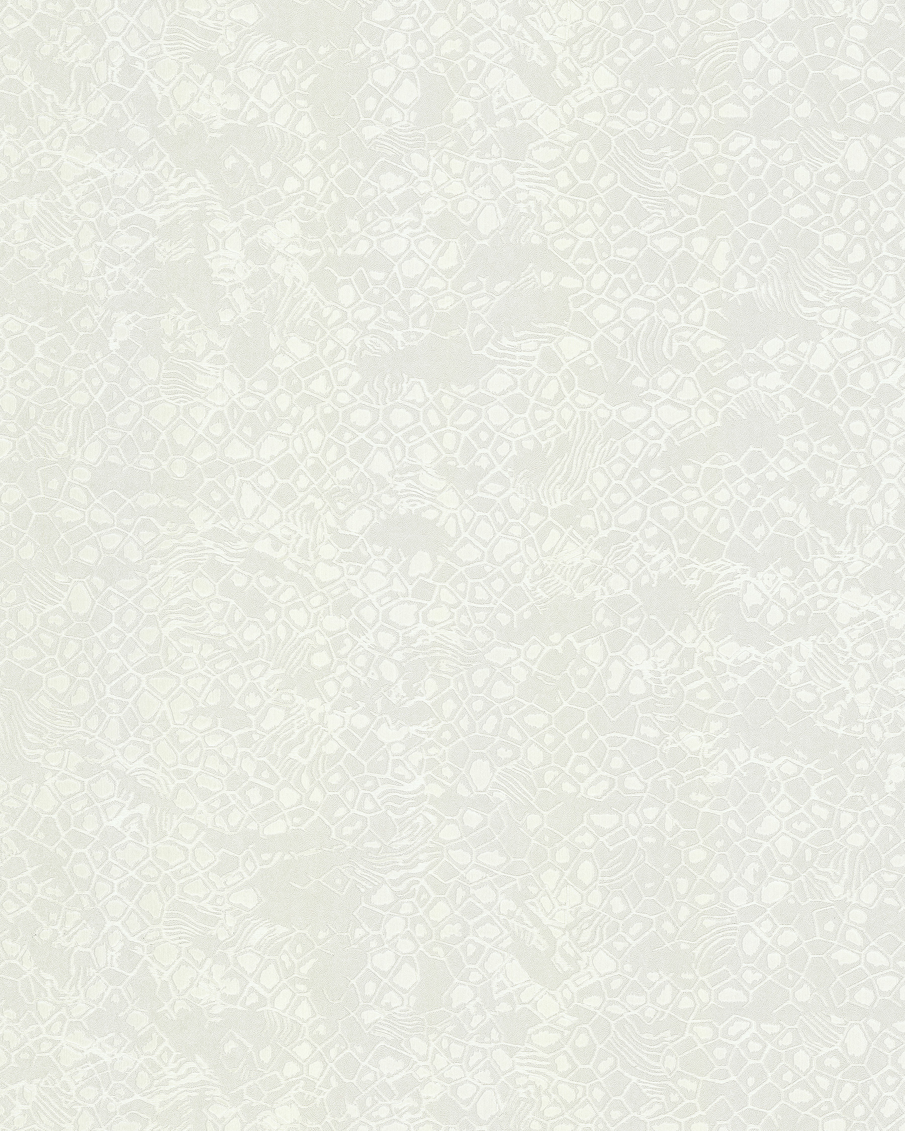 Emiliana Parati Roberto Cavalli №8 19039