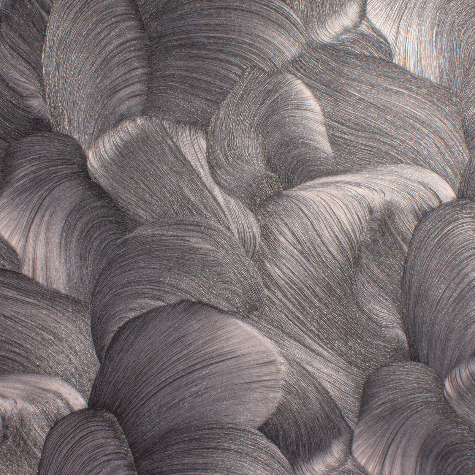 Accento Причудливый (Fancy) 287758