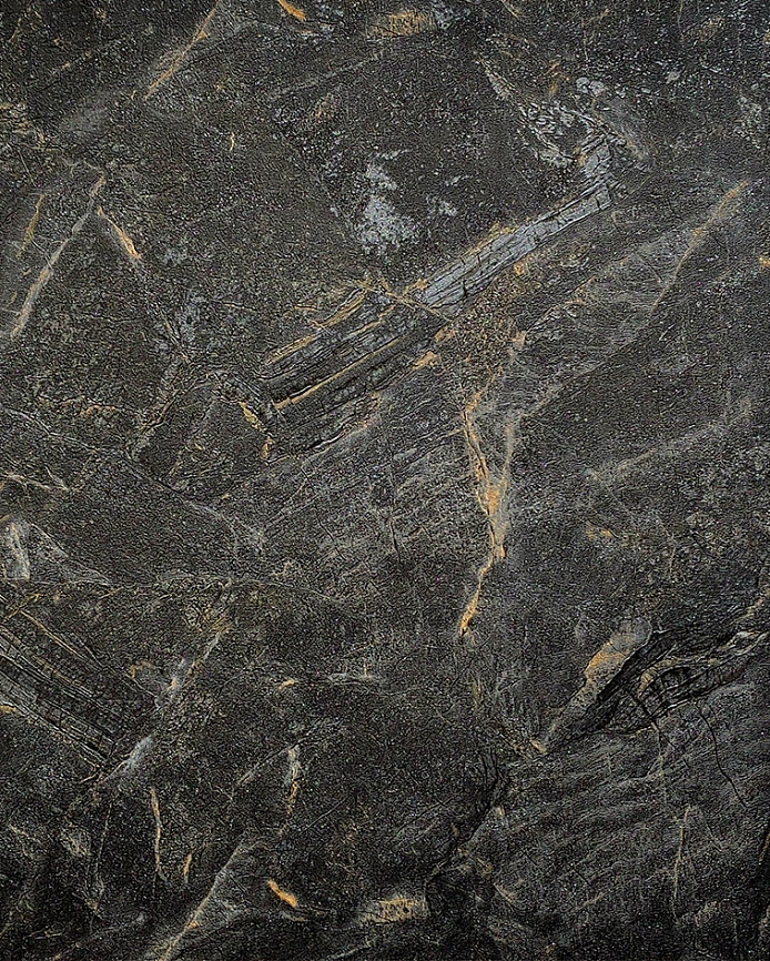 Wiganford Fusion ER2110