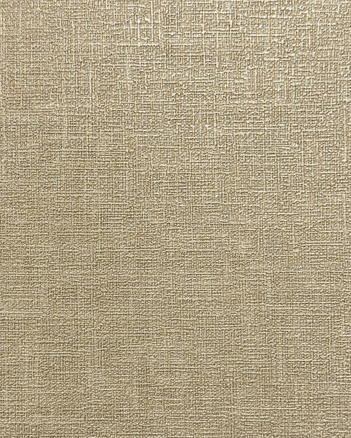 Monica История 2 (La Storia II) MS11614