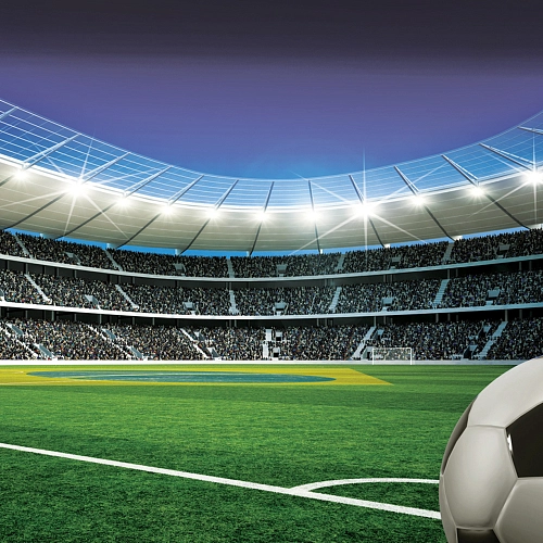 Partner Соло (Solo) 1915P4