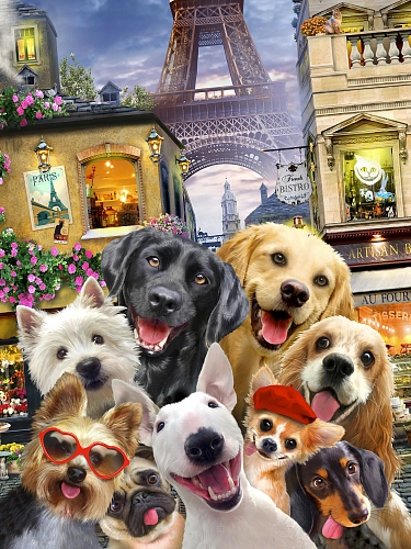 Partner Селфи-Соло (Selfi-Solo) 12859VEA