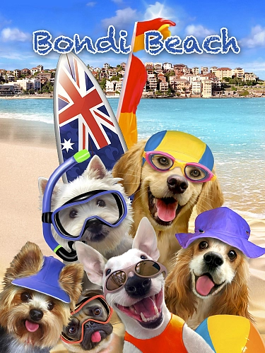 Partner Селфи-Соло (Selfi-Solo) 12853VEA